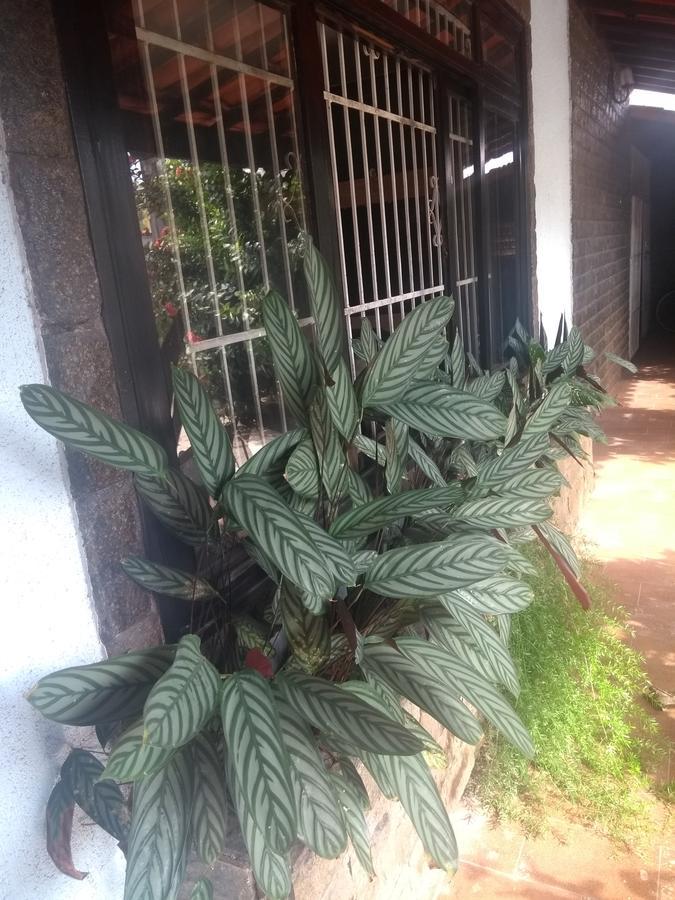 Rock N Hostel Cabo Frio Dış mekan fotoğraf